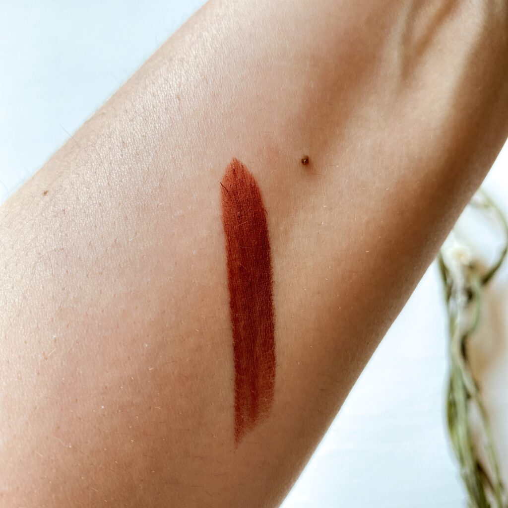 Couleur Caramel Lipstick Bright Review | 211 Chocolate swatch 